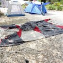 내리계곡 솔밭캠핑장 이미지