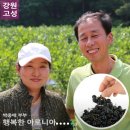 박종애농장 네이버블로그
