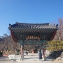 팔금당 | 포항여행 보경사,내연산폭포,트래킹코스,소나무숲이 울창한곳, 주차정보