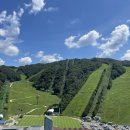 스위트월드 이미지