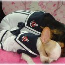 산이랑 바다 이미지