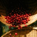 구라농장 이미지