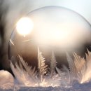 다시샛골전통시장 | 정선 시티투어버스 아리랑시장 여행 후기｜맛과 전통을 하루에 즐기는 여행