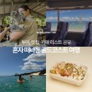 주식회사 거북 | 호주 골드코스트 혼자 여행 추천, 액티비티 맛집 카페 리스트 일정 코스 날씨 옷차림