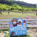 모동모동 | [상주]아이와 함께 : 모동 목장 체험 후기