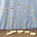 어남약쑥 이미지