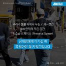 선스페이스 이미지