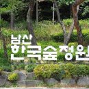 올여름 '숲캉스'는 여기로 결정! 피톤치드 가득 남산 '한국숲정원' 이미지