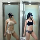 보태니컬 아트 초급 | [리뷰] 출석왕 두 번째 즉위 기념 자랑질 (feat. 오하운테라피, SL스포츠)