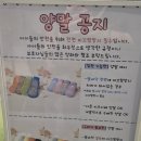 빅파이브스포츠주 | [송파 가든파이브 키즈카페] 아이들 혼자 놀기 좋은 액티비티 끝판왕! '타이거 릴리' 방문 후기