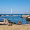 까사인 제주 이미지