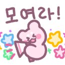 풍기인삼홍삼