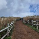 화암농장 | 정선 민둥산+지억산