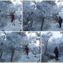 삼백의아침민박 이미지