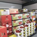 오부자청과 이미지