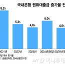 은행, 대출증가율 15년 만에 &#39;최저&#39; , 위험가중자산 보고서 이미지