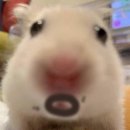 경충대로2092번길 이미지