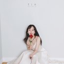 피아그 이미지
