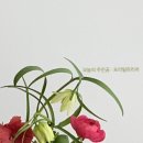 핏어팟(pit A pat) 이미지