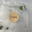 마쥬아케이크 | 내돈내맛 삼송역 케이크 전문 ‘마쥬아 케이크‘ 다녀왔초요