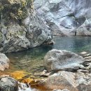 스테이샬롬 이미지