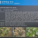 여강길(3-1코스 강천섬길) 이미지