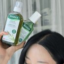 앰엔씨헬스케어 | 헤어라인 고민엔 올리브영 라우쉬 카페인샴푸 &amp; 헤어토닉 후기!