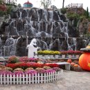 제2회 가을축제 이미지