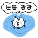 성포푸르지오부동산공인중개사사무소 이미지