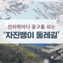 산자락 이미지
