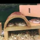 귀욤주의 네이버블로그