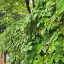 행정사사무소 사람들 이미지