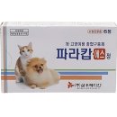 엘정 네이버블로그