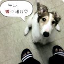 가랑 이미지
