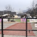 물골안랜드 | 남양주 물동네힐링캠프 상세리뷰-서울근교 애견 캠핑장