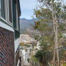 제황산공원(제황산부엉이) 이미지