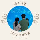 원통게임장 | 대구 아기랑 실내 대구아쿠아리움, 입장권 할인 주차 공연시간표