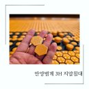 안양 범계 3H 지압침대 척추지압침대 체험 후기