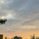 씨유 청주남일효촌점 | 가을Ta나봐~🍂🍁🚘