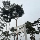 배구직관 : 정규리그 Ibk기업은행 vs 흥국생명 (화성종합실내체육관 2층 응원지정석 N8구역 H열 시야) 후기