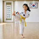 [육아정보] 아기 태권도 언제부터 보내는 게 좋을까? 적당한 시기와 장단점, 선택 시 주의점 총정리