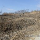 경기도 동두천시 상패동 계획관리 토지 이미지