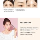 리얼브로우 Daum카페