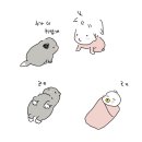 더 귀엽개 이미지