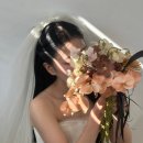 박하헤어스투디오 | 웨딩 촬영 헤어변형 디자이너 박하 원장님 솔직 후기