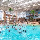 워터파크 이미지