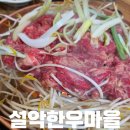 함흥농장 | 가평 설악면 맛집 내돈내산 현지 한우 숯불 불고기 맛집 추천! [설악한우마을]