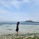 용수보룸 이미지