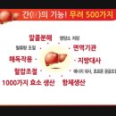셀루스화장품 | 다이어트 실패이유와 단식다이어트의 치명적인 단점!! 해결방안을 살펴볼께요♡