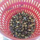 영팔농장 이미지